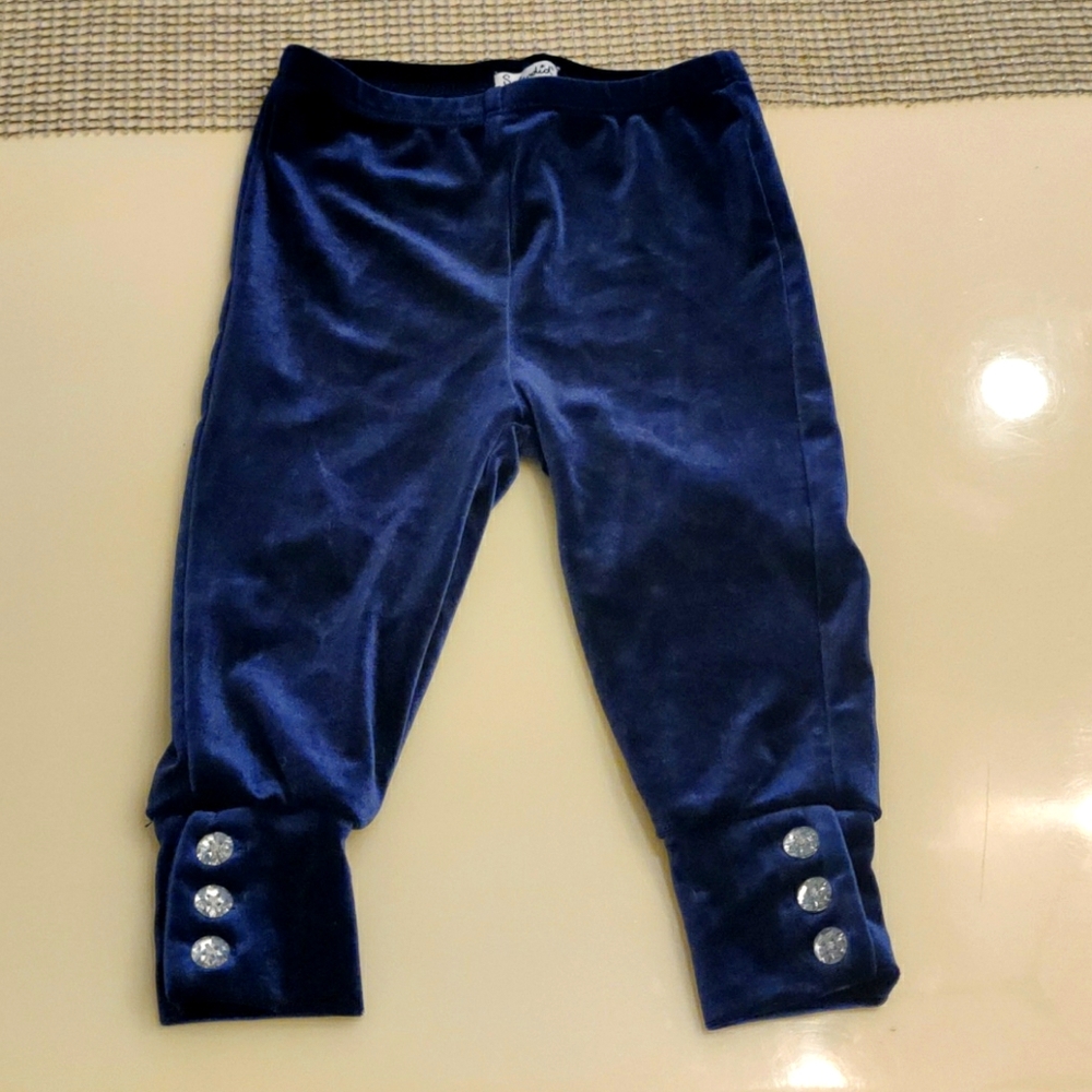 Splendid navy velvet pants